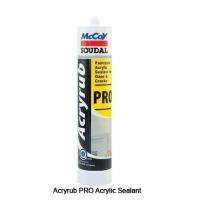 SOUDAL 001 Acrylic Sealant 25ml_0