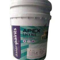 Asian Paints Mint Green Exterior Emulsion Paints 20 L_0