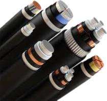 RR Aluminium PVC GS Round Wire PVC LT Power Cables 2 Core 4 sqmm 1.1 kV_0