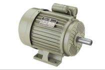 Three Phase 2 hp AC Motors_0