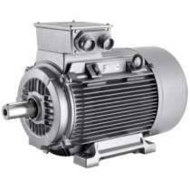 Three Phase 100 hp AC Motors_0