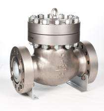 DN 65 mm Manual Cast Steel Check Valves Threaded_0