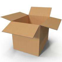 Paperboard Printed Mono Carton 1 Kg Brown_0