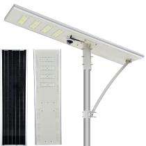 100 W White LED Metal 42 Ah Solar Street Light_0
