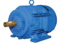 Bharat Bijlee 2840 rpm Three Phase 1.5 hp Double Pole AC Motors_0