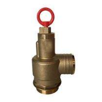 Brass Spring Loaded Pressure Release Valve_0