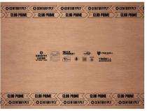 12 mm Waterproof and Anti-Termite Plywood 2100 x 1220 mm IS 710_0
