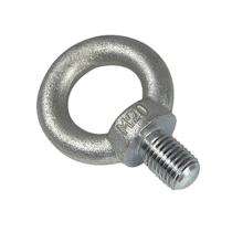Anil Steel Trading Company Mild Steel Eye Bolts M20 5 m_0
