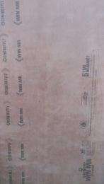 CENTURYPLY 8 mm Moisture Resistant Plywood 200 x 100 mm_0