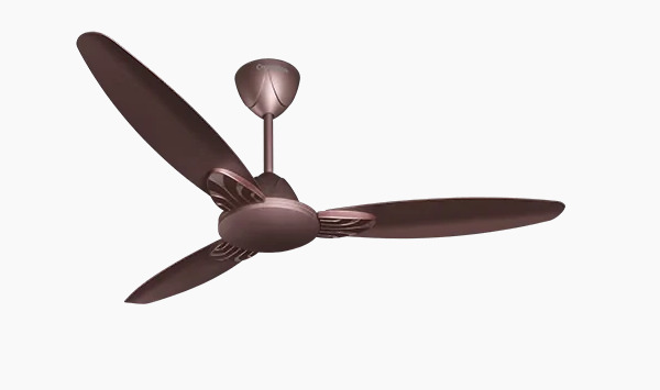 Crompton Standard 1200 mm 3 Blades 75 W Roast Brown Ceiling Fans_0