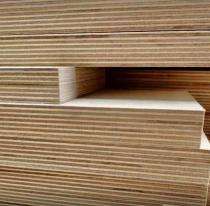 SHELL PLY 12 mm Commercial Plywood 2440 x 1220 mm IS 303:1975_0