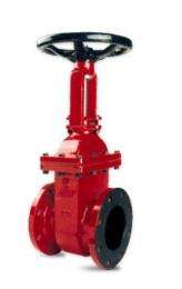 AEW 1 inch Manual Cast Steel Gate Valves_0