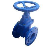 3 inch Steam CI Globe Valves Flanged_0