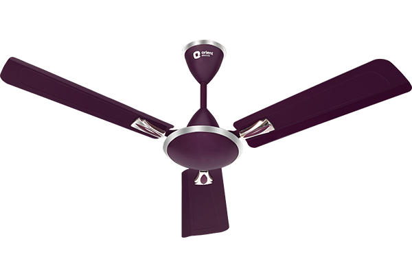 Orient Gratia 1200 mm 3 Blades 70 W Purple Ceiling Fans_0