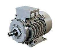 Anubhuti Single Phase 13 hp AC Motors_0