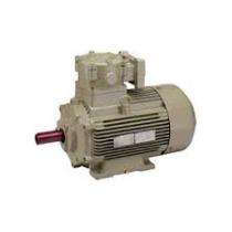 Hindustan Three Phase 425 hp Flange Mounted AC Motors_0