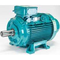 Crompton IE-3 1440 rpm Three Phase 4 hp AC Motors_0