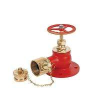 Stainless Steel Single Headed Hydrant Valves_0