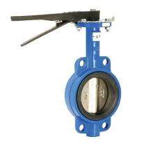 80 mm Motorized CI Butterfly Valves Flanged_0