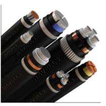 HAVELLS Aluminium XLPE Armoured Extruded PVC Type ST-2 LT Power Cables 1 - 4 Core 35 - 400 sqmm 11 kV_0