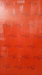 12 mm Film Faced Shuttering Plywood 2440 x 1220 mm_0