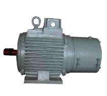 Kiran Three Phase 13 hp Double Pole AC Motors_0