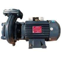 Mangla 3 hp Horizontal Centrifugal Pumps_0