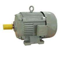 Single Phase 2 hp Foot Mounted AC Motors_0