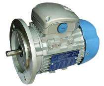 Rotomotive Three Phase 0.35 hp AC Motors_0