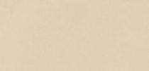 Q7 Ceramic 2003 LT 300 x 600 mm Beige Matt Ceramic Tile_0