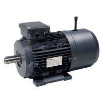 Mechatrox 1420 rpm Three Phase 10 hp Double Pole AC Motors_0
