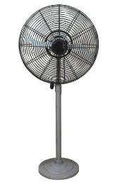 TRINDUS Spark Ft 20 20 in Pedestal Fan_0