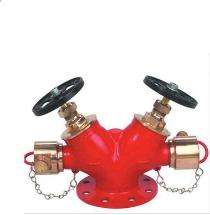 SAHOO AAAG M194B SS Double Outlet Fire Hydrant System_0