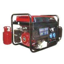 PE1 100 KVA Natural Gas Generator Single Phase 0.4 %_0