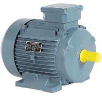 HAVELLS 2880 rpm Three Phase 100 hp AC Motors_0