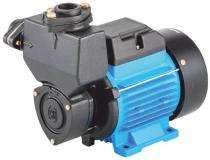 CRI Royale 101 1 hp 2880 rpm Monoblock Pumps_0