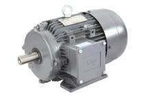 LHP IE2 & IE3 Three Phase 1000 hp AC Motors_0