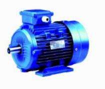 Three Phase 10 hp Four Pole AC Motors_0
