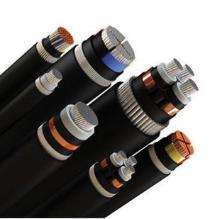 HAVELLS 1 Core 10 mm Industrial Flexible Cables Copper 1.1 kV_0