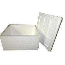 Divya Packaging Normal EPS Thermocol Ice Box 400 x 600 x 400 mm OD 6 Ltr_0