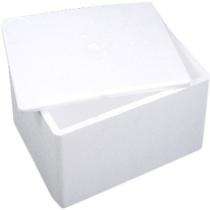Divya Packaging Normal EPS Thermocol Ice Box 400 x 600 x 400 mm OD 6 Ltr_0