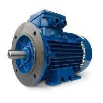 Three Phase 4 hp Double Pole AC Motors_0