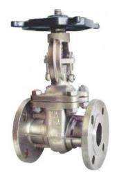 DN 26 mm Investment Casting Bonnet Gate Valves CLASS 150_0