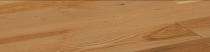 AGNI 19 mm Emporia MR Grade Plywood 1828.8 x 1219.2 mm IS 303:2010_0