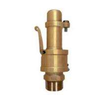 WEE Spring Type Safety Valve 1 inch SV01_0