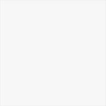 Kajaria Zoya White 148.5 x 600 mm White Durastone Ceramic Tile_0