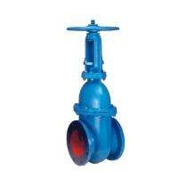 Kirloskar 50 mm Rising Spindle Cast Iron Gate Valves Flanged_0