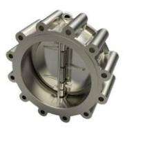 Clock Win DN 65 mm Manual Stainless Steel Check Valves CWSLDP_0