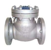 AEGIS SS Check Valves 50 mm_0