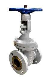 VALTEK DN 50 - DN 600 mm Manual WCB Gate Valves Flanged_0